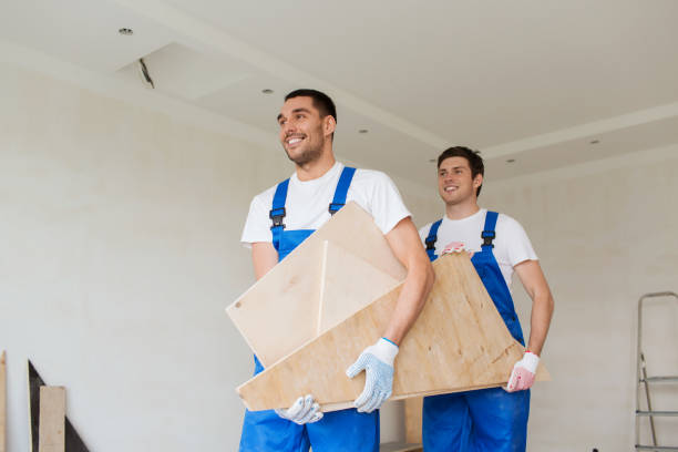 Best Furniture Removal  in Clayton, DE